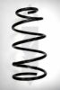 SPIDAN 85729 Coil Spring